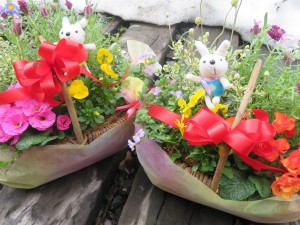 17230109_1269601653117898_1293563461_o