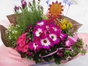 17237148_1270986889646041_2018513886_o