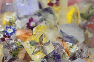 17269561_1272115916199805_1517720967_o