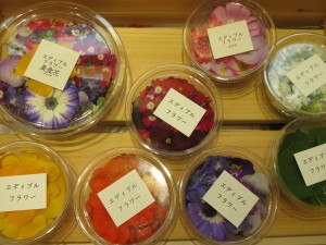 17269915_1274884622589601_87616737_o