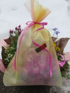 17270170_1270986892979374_1162526890_n