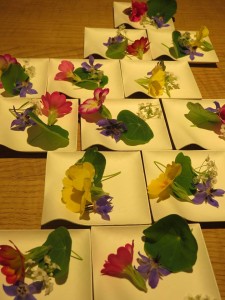 17328020_1274884599256270_908149519_n