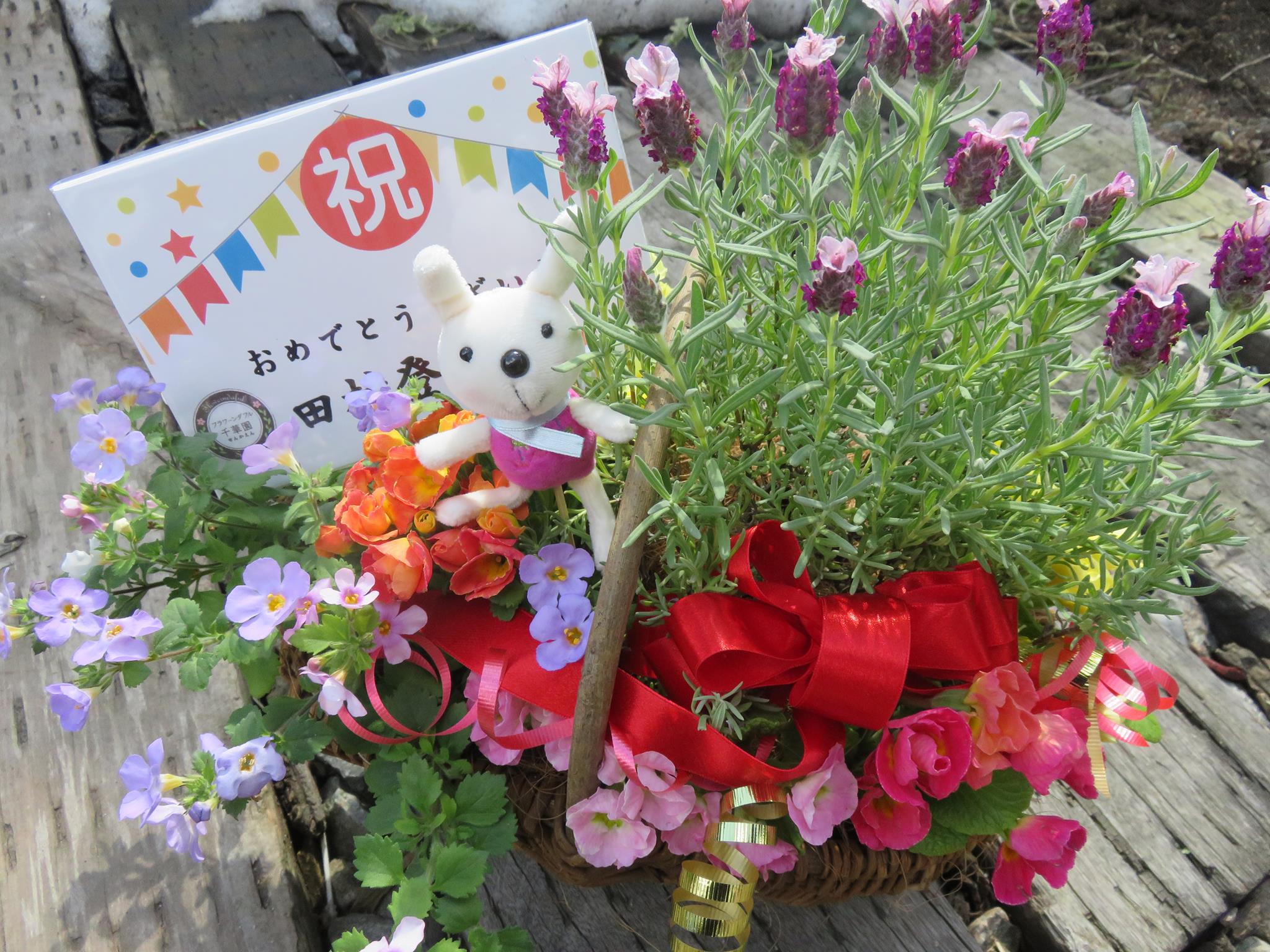 ウサギが飛ぶように・・・