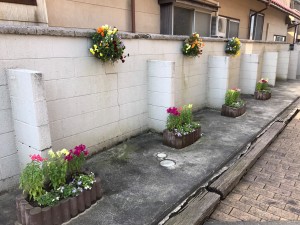 17342075_1278566082221455_2057579448_o