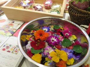 17342400_1274884339256296_846006900_o