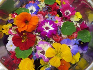 17349387_1274884342589629_2072193273_o