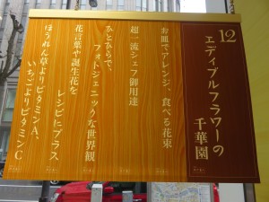 17349509_1274884615922935_735052704_o