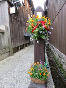 17352003_1278997978844932_8038288273381694071_n