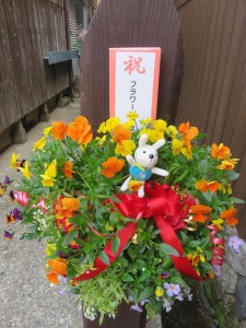 17353409_1278997975511599_384361586254795935_n