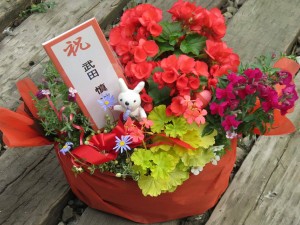 17358522_1279881225423274_4373692135299380567_o