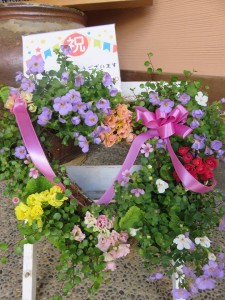 17360665_1278001182277945_1390591259_n