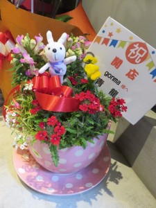 17362569_1278997848844945_7536500484185011824_n