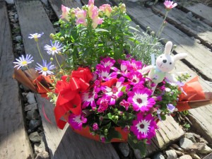 17373224_1278001175611279_102446718_o