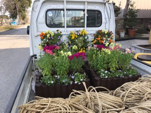 17380055_1278566062221457_516017676_o