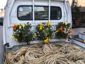 17408253_1278566052221458_691933830_o