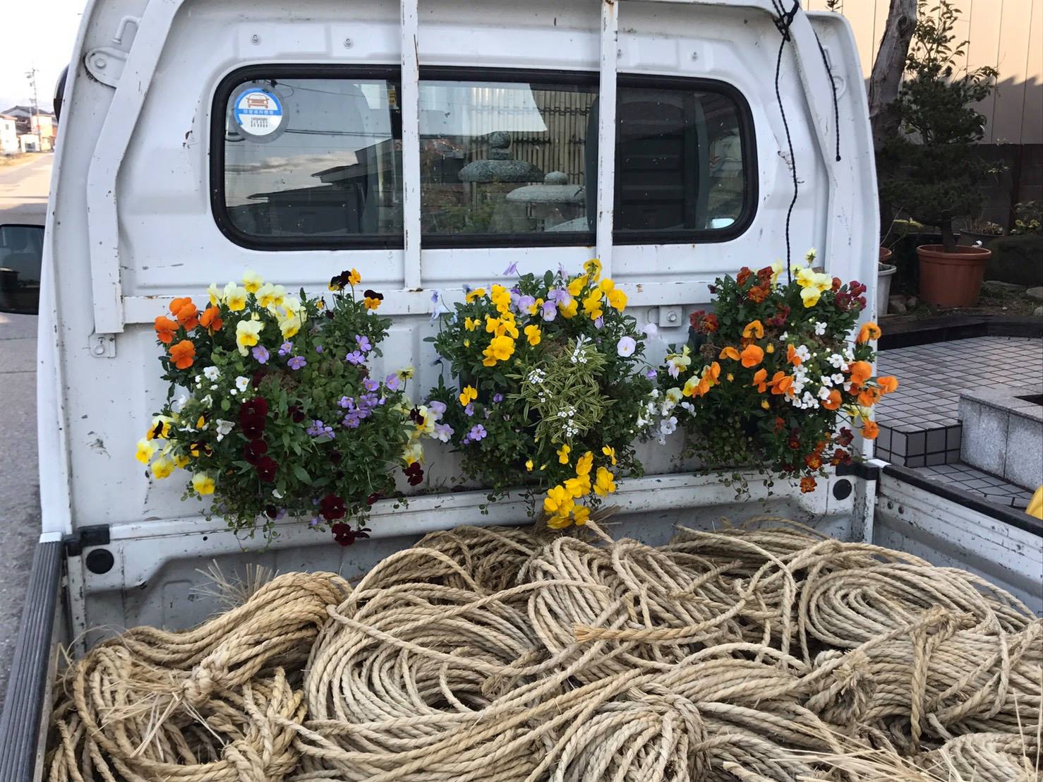 造園屋さんにお花納品