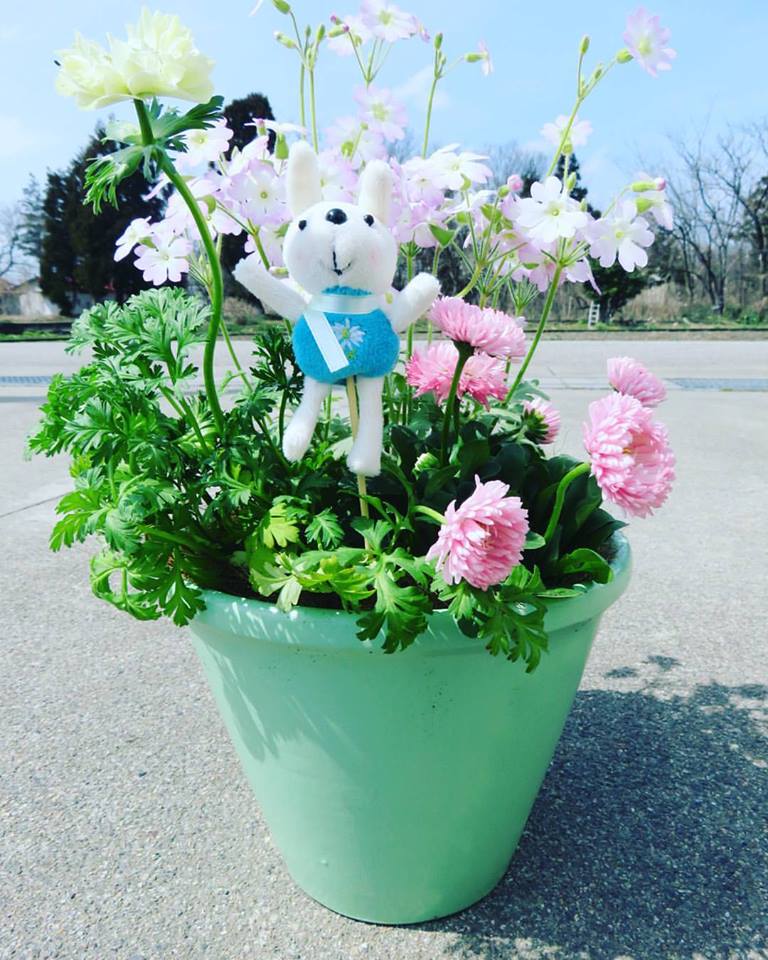 開運寄せ植え完成です☆