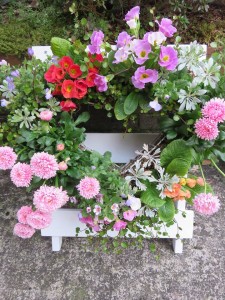 17458297_1289164787828251_3095264166041696858_n