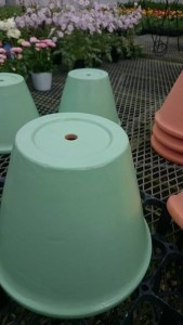 17496006_1285163968228333_295274591_n