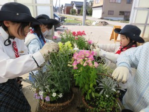 17499827_1285746434836753_679126344_o