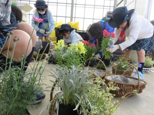 17500233_1285732598171470_207992193_o