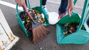 17500266_1287203558024374_1038531089_o