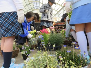 17521583_1285732588171471_1375703919_o