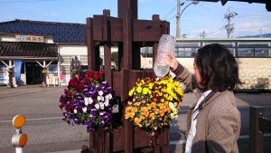 17548966_1287203358024394_1192215009_o