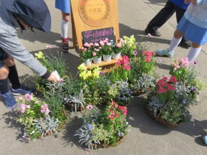 17549061_1285733111504752_244691408_o