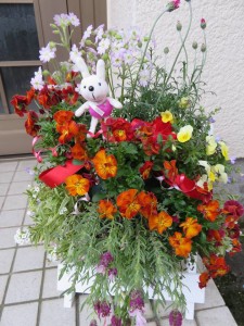 17554467_1289164904494906_8066573488481162946_n