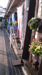 17555231_1287203621357701_1706668345_n