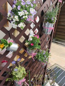 17618925_1288934011184662_1075682984_n