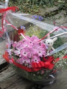 17619110_1290046524406744_976231676_n