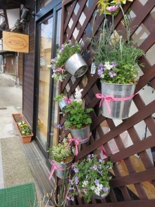 17619642_1288933994517997_1964602632_n