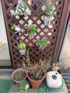 17619801_1288933977851332_1130544575_n