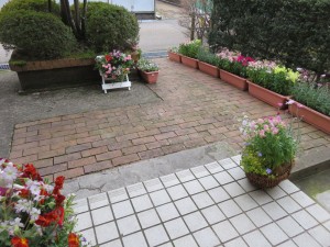 17622074_1289164914494905_2795677709949094403_o