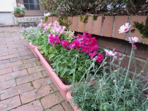 17622080_1289164781161585_477230137755912171_o