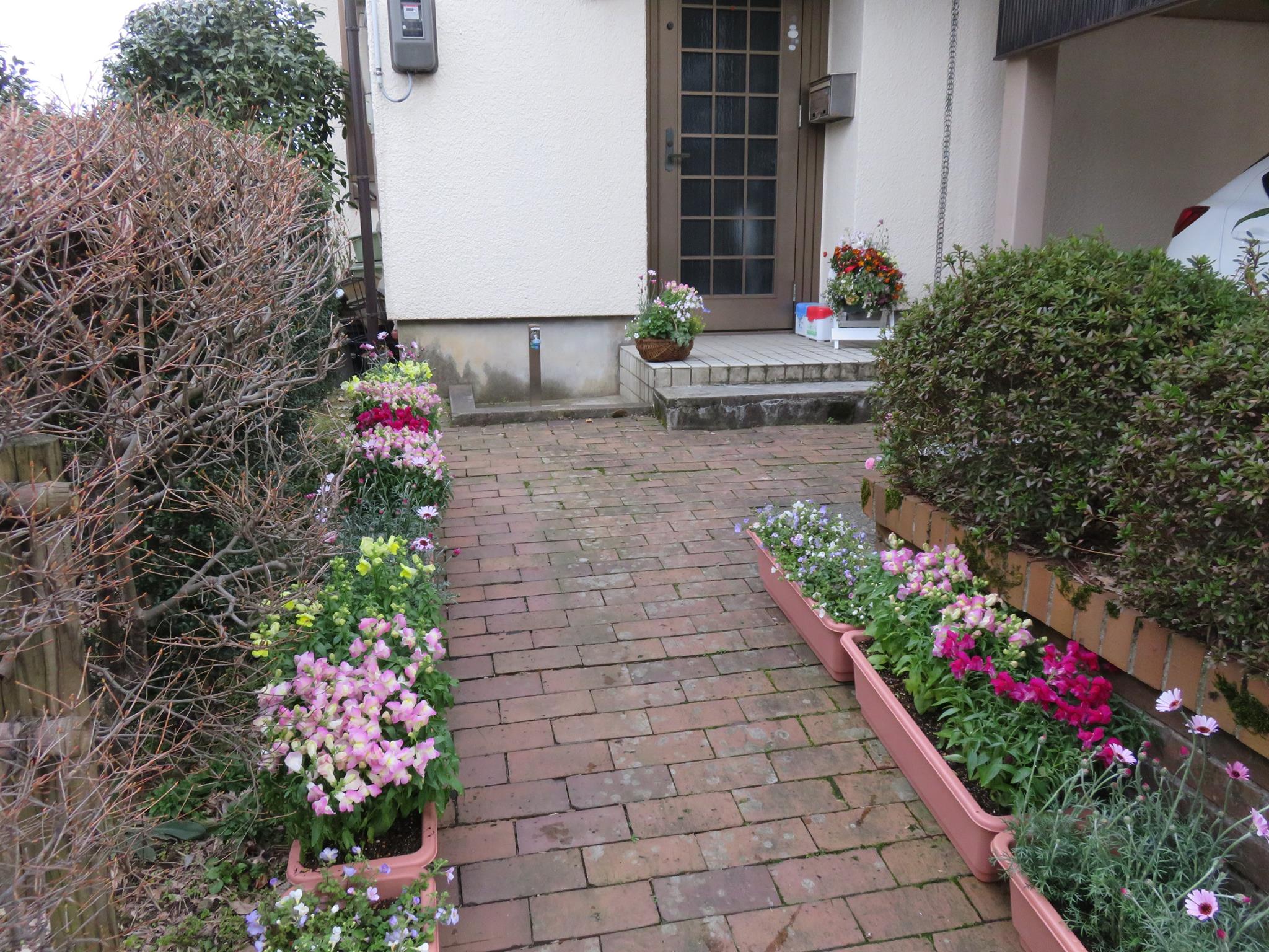 ミッション完了！！「奥様の花道」