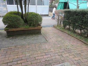 17636742_1289164307828299_8891852884960076891_o