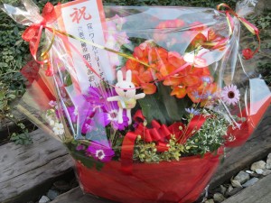 17668652_1290047507739979_1719328567_o