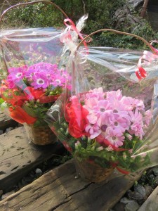 17671018_1290046557740074_1189472564_n