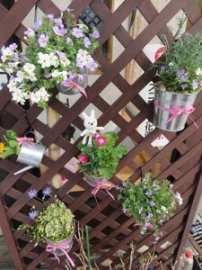 17671184_1288934037851326_1214544957_n