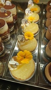 17238104_1163076430468459_1204026750_n