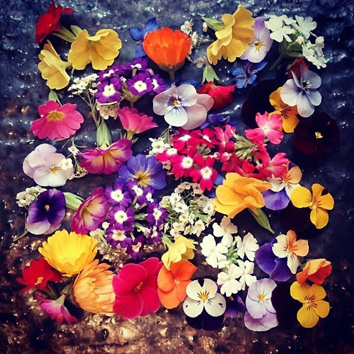 美食花いっぱい！！カラフル美味しい！！