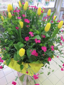 17909161_1307037709374292_1098657716_n