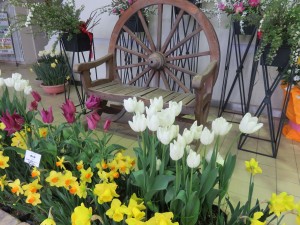 17949684_1307037936040936_327657721_o