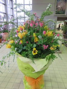 17965973_1307037702707626_1305857430_n