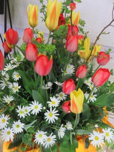 17974049_1307037956040934_1686459018_n