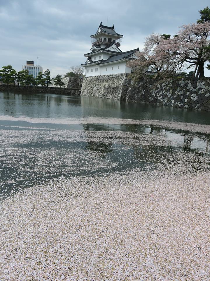 出たついでに走りっぱなし！！