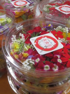 17991998_1830472927278964_8865971286966290700_n